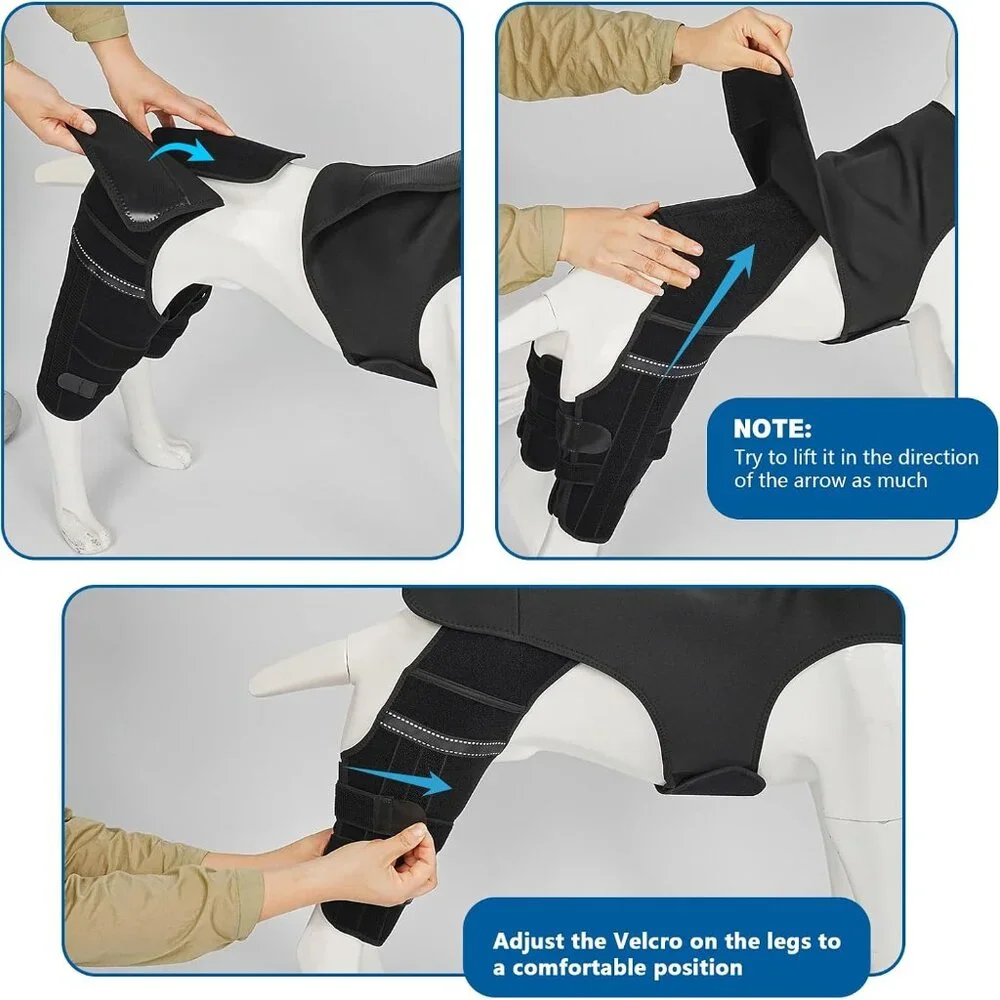 Dog Knee Brace for Torn Acl Hind Leg
